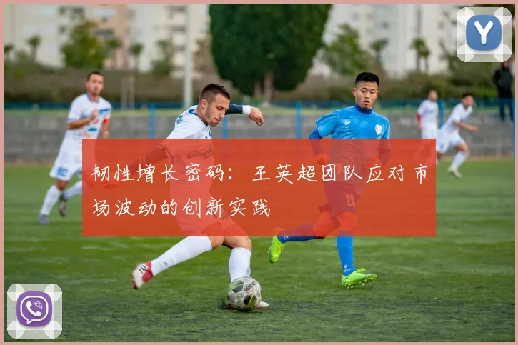 韧性增长密码：王英超团队应对市场波动的创新实践