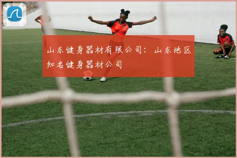 山东健身器材有限公司:山东地区知名健身器材公司